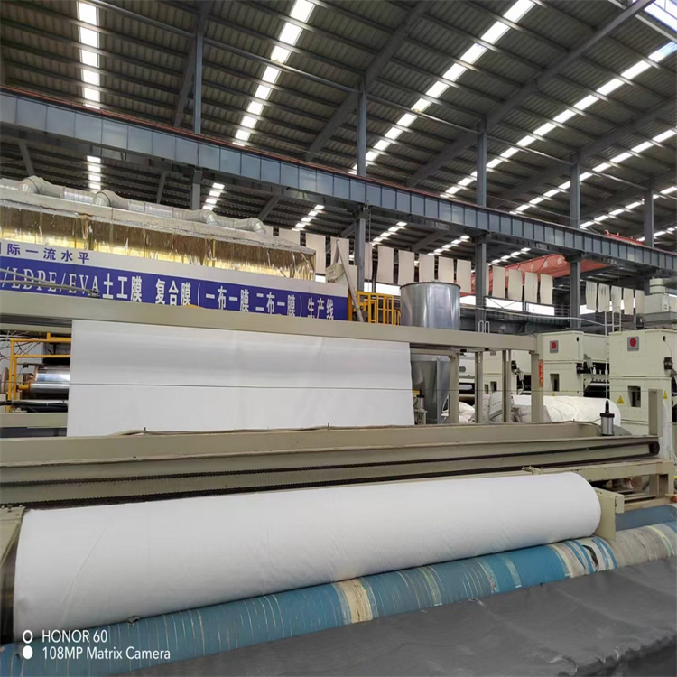 復(fù)合土工膜 兩布一膜 一布一膜廠家